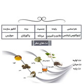 ادو پرفیوم رودیر بوگاتی دمون